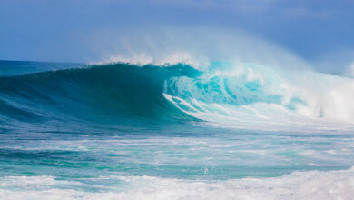 All gather on oahus north shore when the big ones come