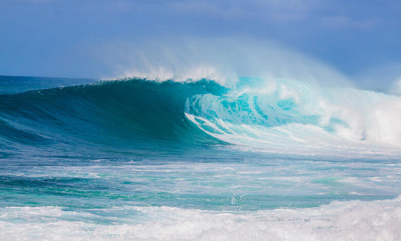 All gather on oahus north shore when the big ones come