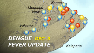 Big island approaches 80 confirmed cases of dengue fever