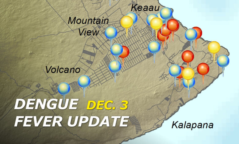 Big island approaches 80 confirmed cases of dengue fever