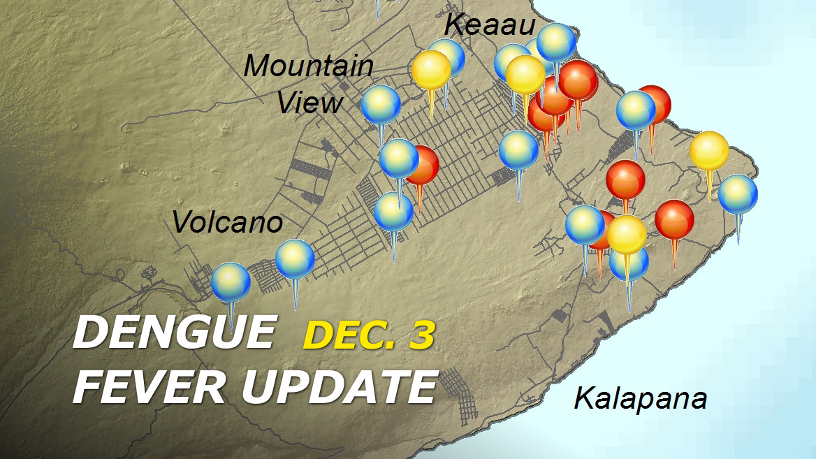 Big island approaches 80 confirmed cases of dengue fever