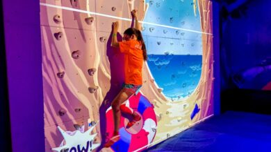 Carnival panorama to have skyzone trampoline park