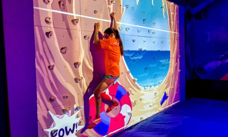 Carnival panorama to have skyzone trampoline park