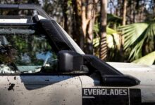 Bonaventure creates everglades package