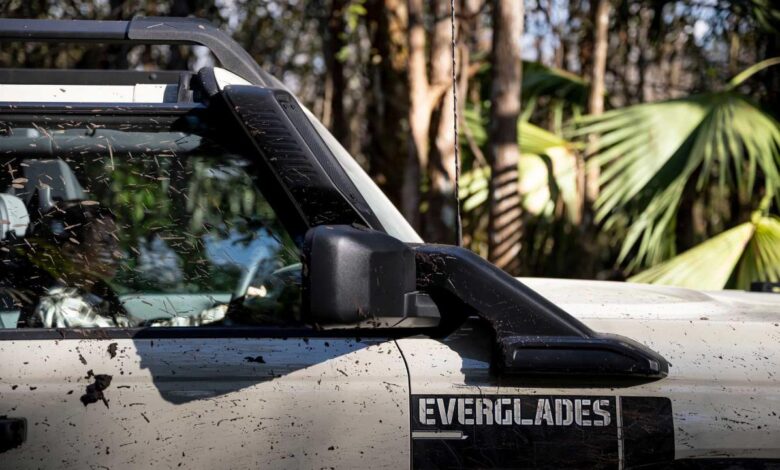 Bonaventure creates everglades package