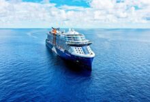 Captain of celebrity cruises vessel relieved of duty