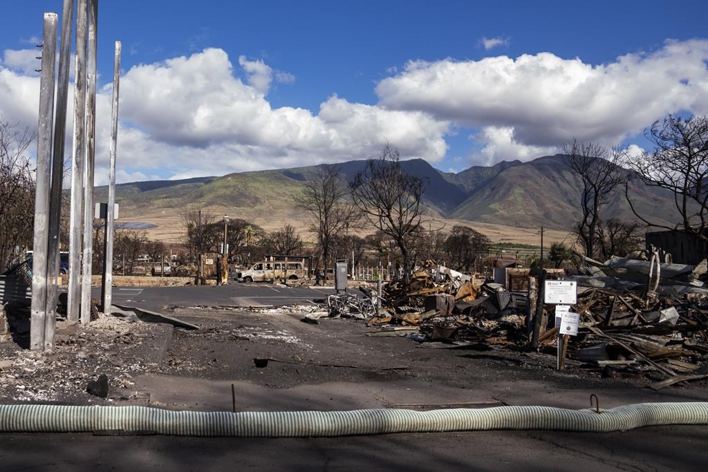 Advisors assist hawaii travelers during maui wildfires