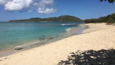 Sebastian bvi tortola reopens resorts sebastians