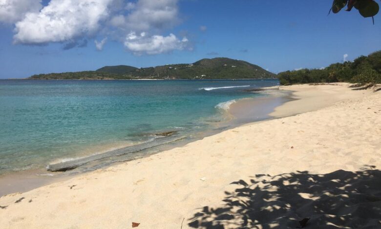 Sebastian bvi tortola reopens resorts sebastians