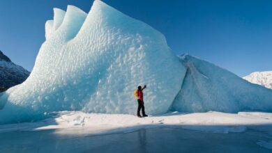 Alaska to get record cruise visitors this year