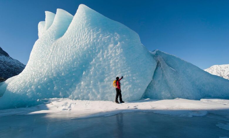 Alaska to get record cruise visitors this year