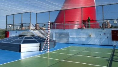 Carnival conquest pickleball court