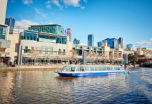 Melbourne yarra river business sale cruise iconic vic leisure entertainment type