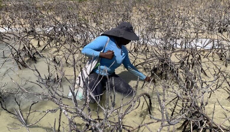 Caribbean resorts work on sanitation programs