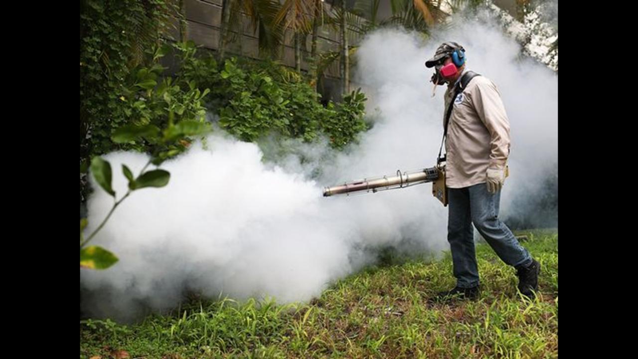 Bahamas declared zika free