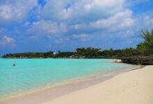 Bahamas reports no ill effects of malaria cases on great exuma