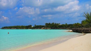 Bahamas reports no ill effects of malaria cases on great exuma