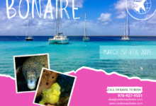 Bonaire postpones annual dive fest