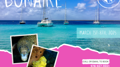 Bonaire postpones annual dive fest