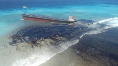 Carnival chief says oil spill hasn t affected operations