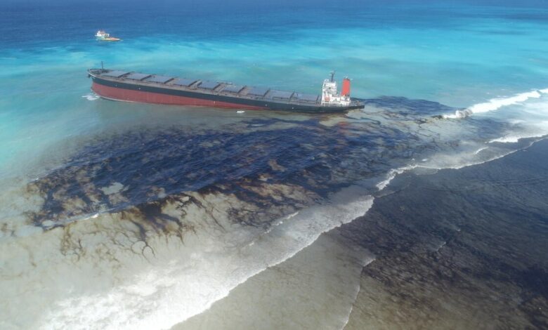 Carnival chief says oil spill hasn t affected operations