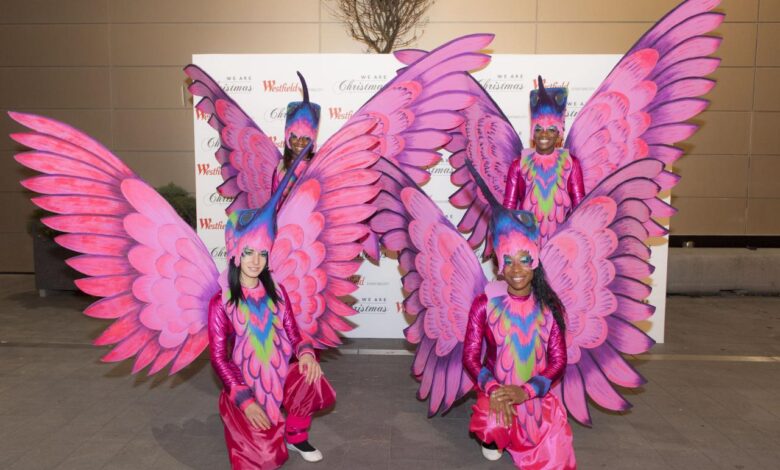 Carnival suite sensation