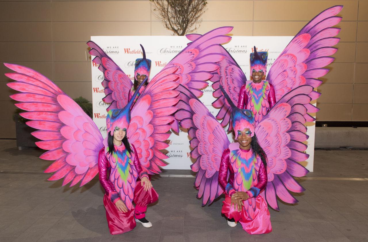 Carnival suite sensation Carnival suite sensation