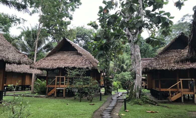 Authentic rain forest lodgings on baobab peru trip