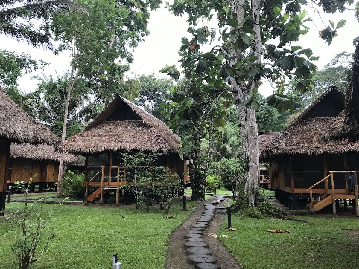 Authentic rain forest lodgings on baobab peru trip