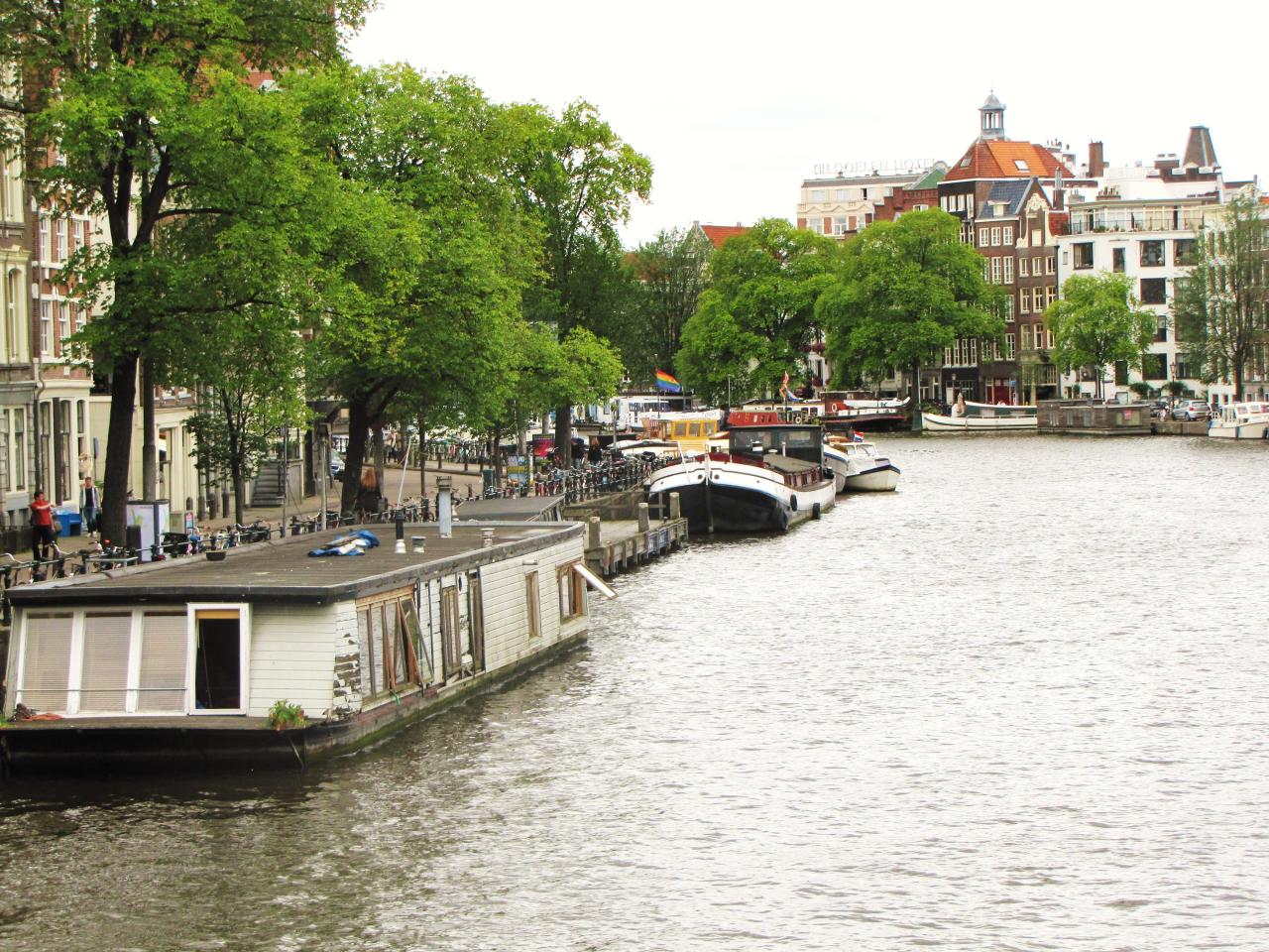 Aboard the amsterdam some suite service