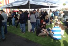 Breweries at las vegas downtown beer festival number 60 plus