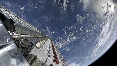 Carnival internet upgrade starlink
