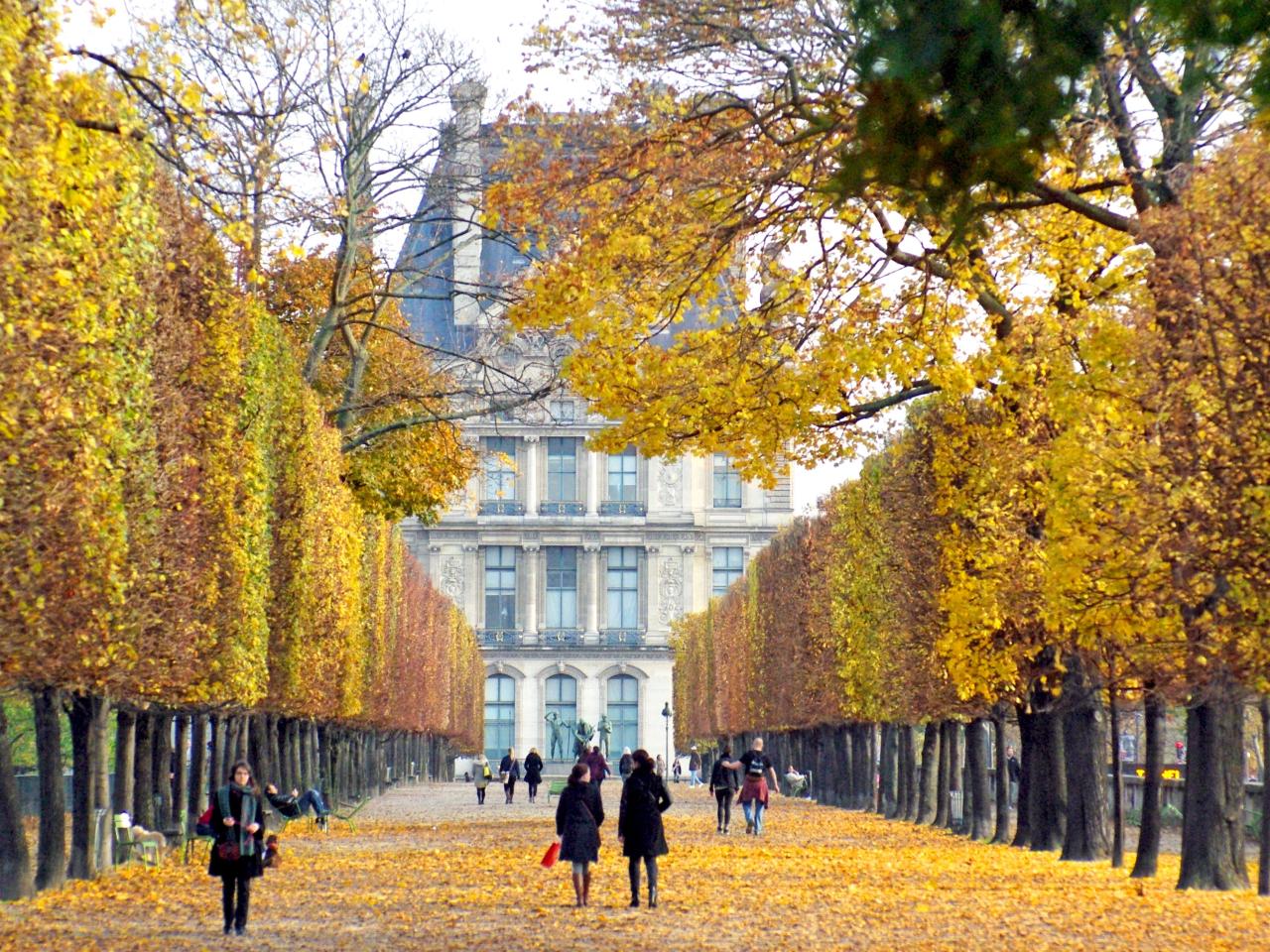 Air france package prices fall in fall