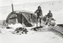 Camping like polar explorers with hurtigruten roald amundsen