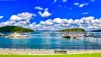 Bar harbor starts implementing daily cruise limit