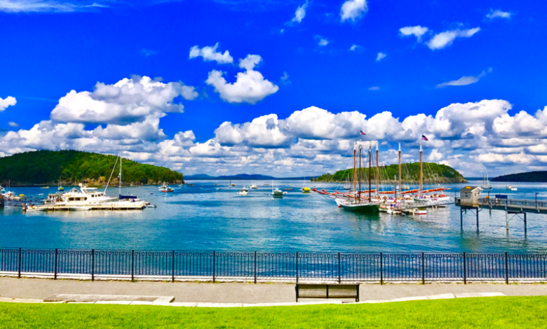 Bar harbor starts implementing daily cruise limit