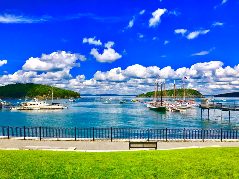 Bar harbor starts implementing daily cruise limit