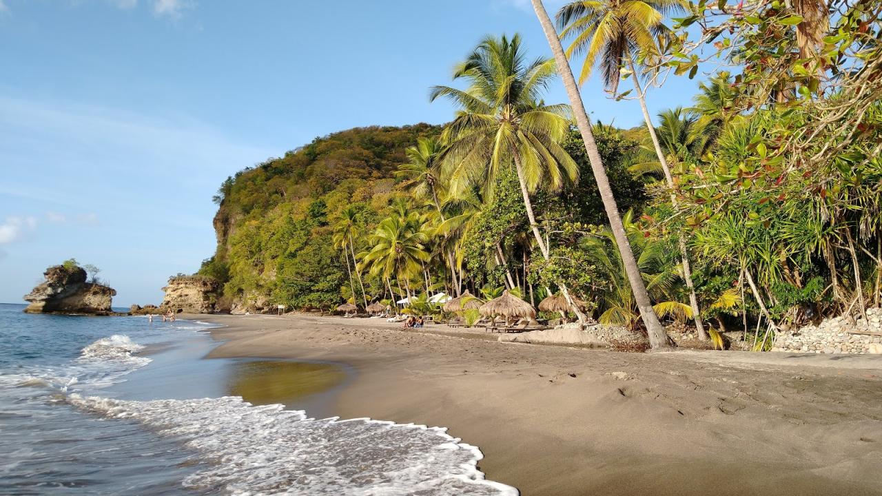 Anse chastanet restaurant goes vegan