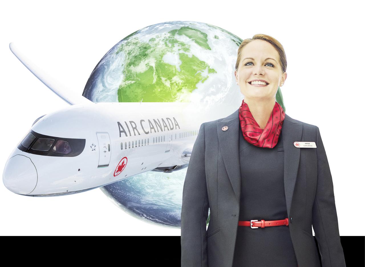 Air canada travel advisor success with ndc