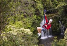 Auditor proposed hawaii zipline regulation doesnt make sense