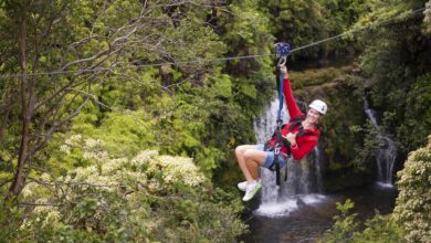 Auditor proposed hawaii zipline regulation doesnt make sense