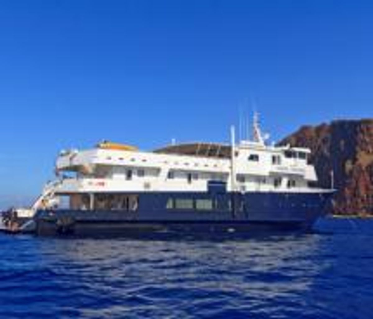 American safari cruises headed back to hawaii