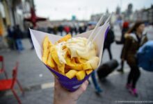 Aboard the amsterdam thought for food