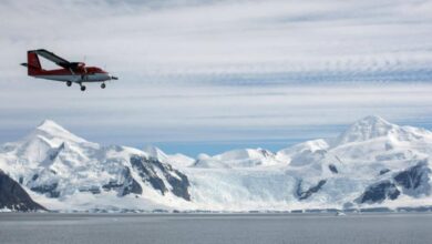 Antarctic group calls for stricter tourism regulations