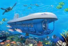 Atlantis adventures resumes grand cayman journeys under the sea