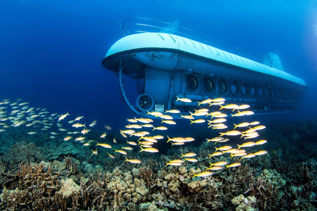 Submarine aruba atlantis boot dive tauchen tauchgang