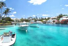 Bermuda cruise tourism plummets in q2