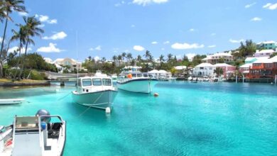 Bermuda cruise tourism plummets in q2