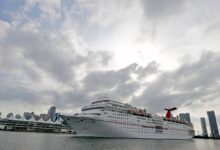 Carnival to create chinese brand in joint venture