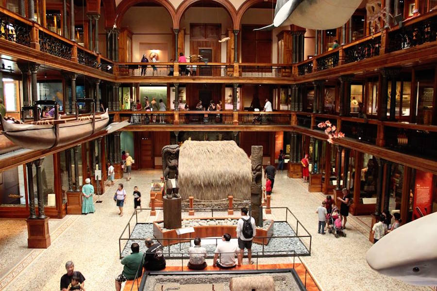 Bishop museum to cut jobs and hours